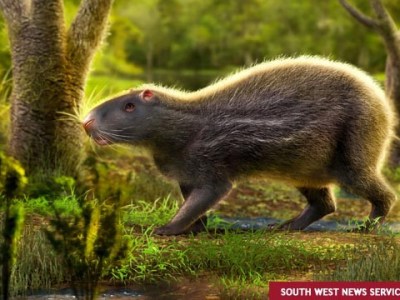 Algún día las ratas conquistarán la&nbsp;Tierra
