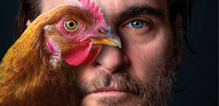 ¿Qué tenemos en común con las gallinas?